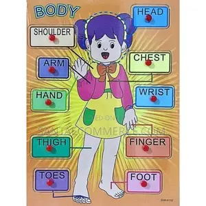 Kids Human Body Parts Educational Learning Poster
