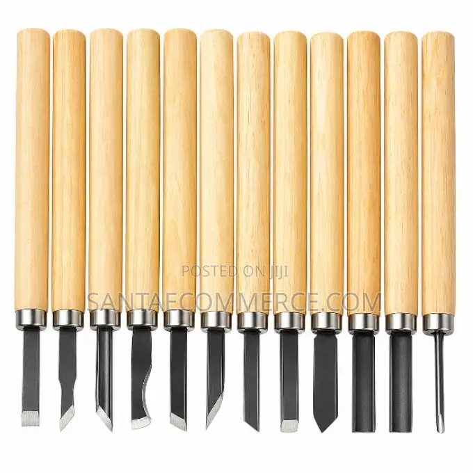 12 PCS OOS Wood Sculpting Tools Set