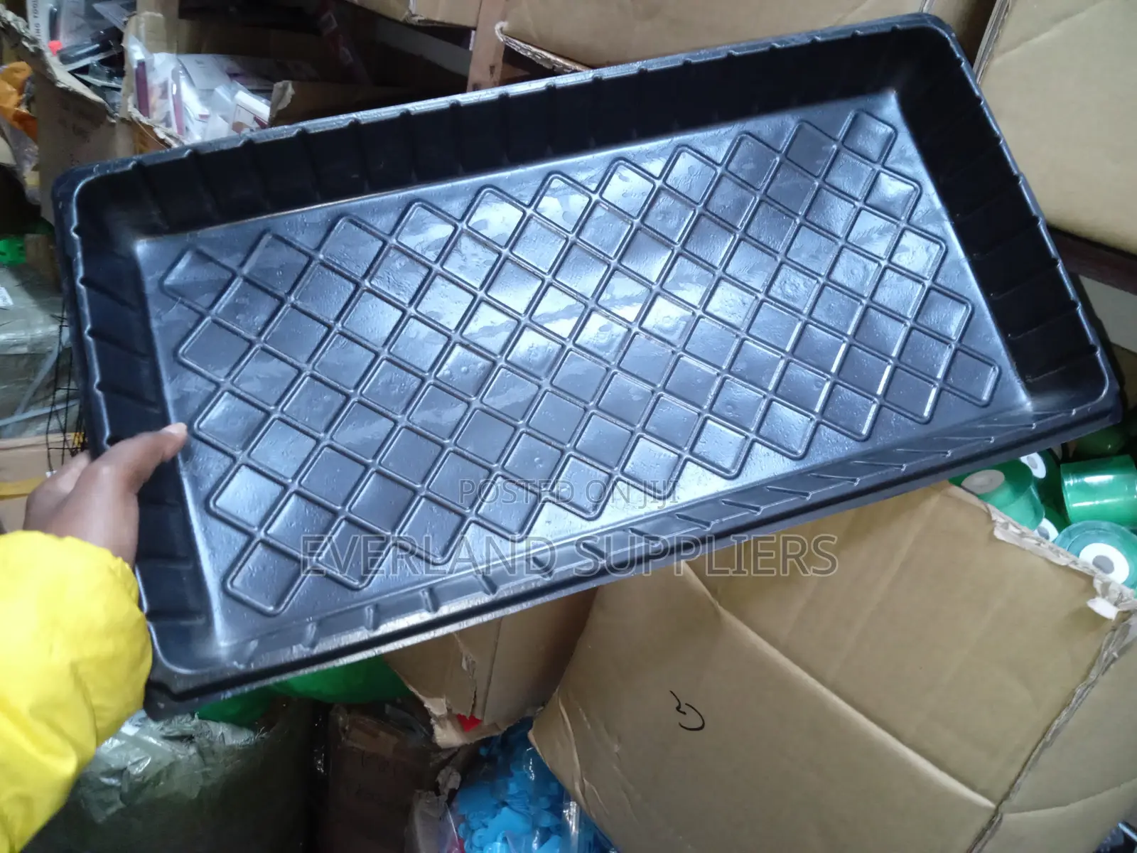 Hydroponic Trays for Controlled Environments - No Holes