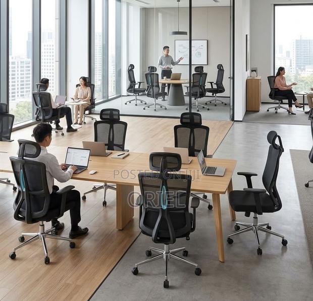 Executive Orthopedic Office Chair for Comfortable Daily Work - thumbnail 4