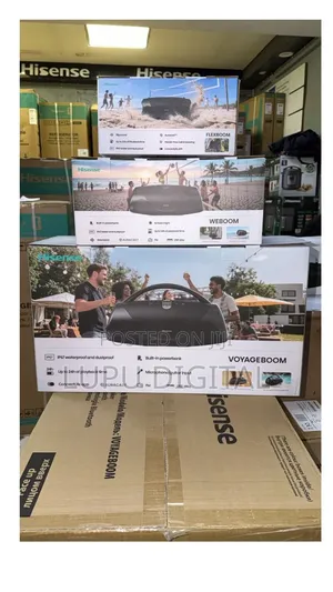 Hisense Portable Flexboom