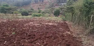 Prime Residential Plots for Sale in Olkeri, Ngong