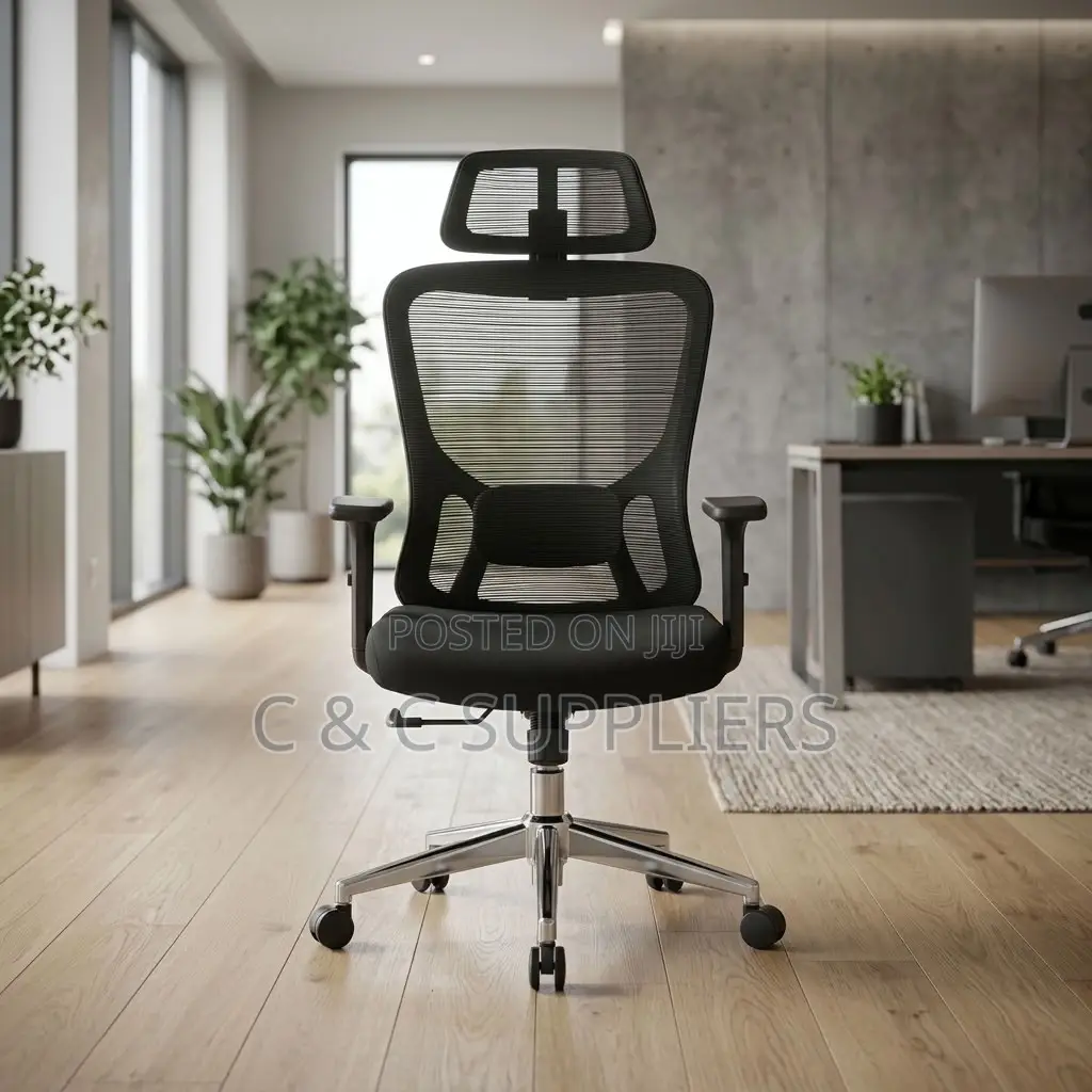 Orthopedic Ergonomic Lumber Support Chair.