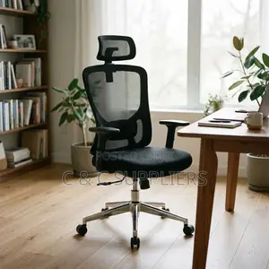 Orthopedic Ergonomic Lumber Support Chair.