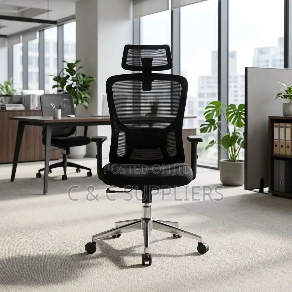 Orthopedic Ergonomic Lumber Support Chair.