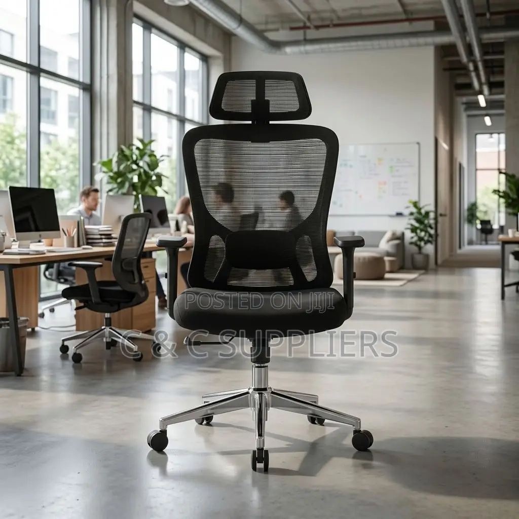 Orthopedic Ergonomic Lumber Support Chair.