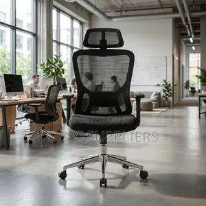 Orthopedic Ergonomic Lumber Support Chair.