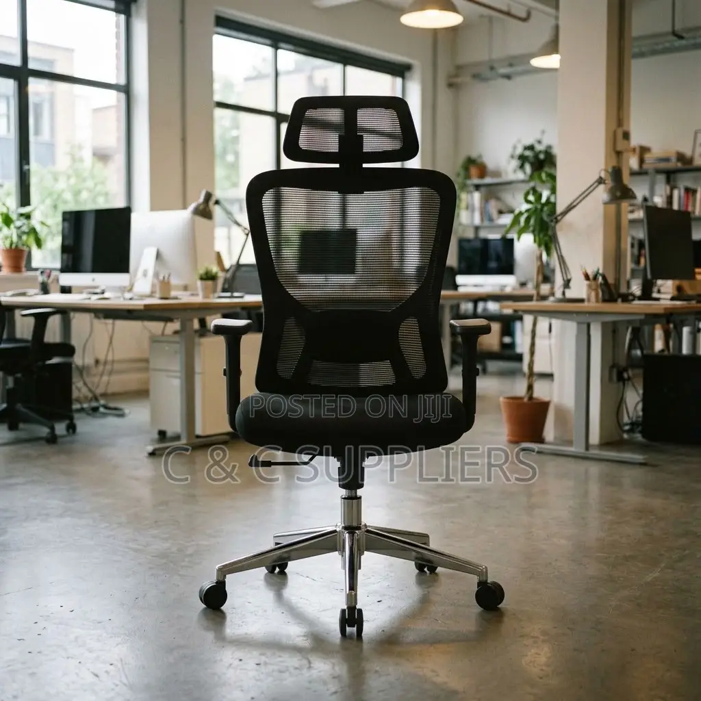 Orthopedic Ergonomic Lumber Support Chair.