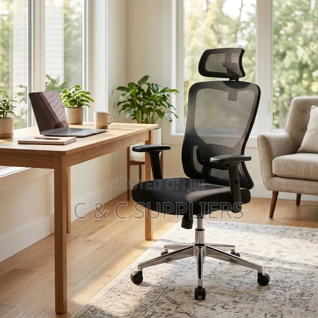 Orthopedic Ergonomic Lumber Support Chair.