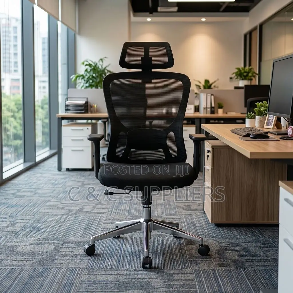 Orthopedic Ergonomic Lumber Support Chair.