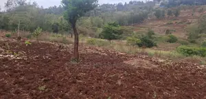 Prime Residential Plots for Sale in Olkeri, Ngong