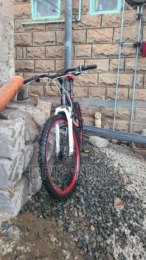 Bycycle Size 27