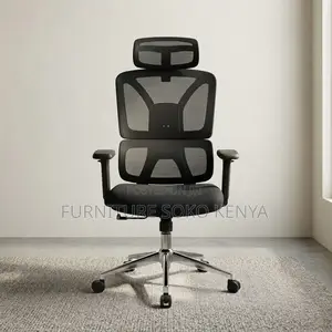 Office Chairs; Orthopedic Office Chair With Backborne Support