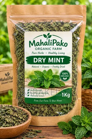 Spear Mint