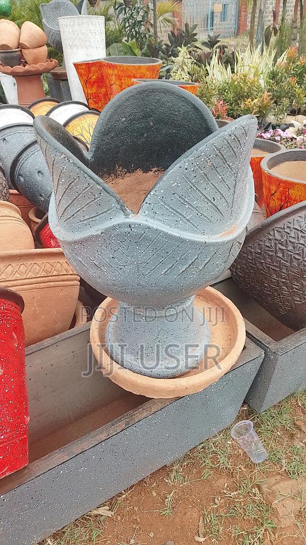 Cabbage Clay Pot