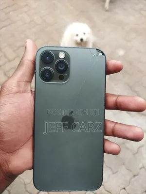 Apple iPhone 12 Pro Max 256 GB Gray