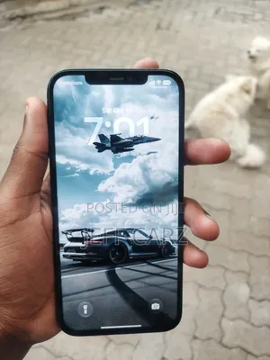 Apple iPhone 12 Pro Max 256 GB Gray