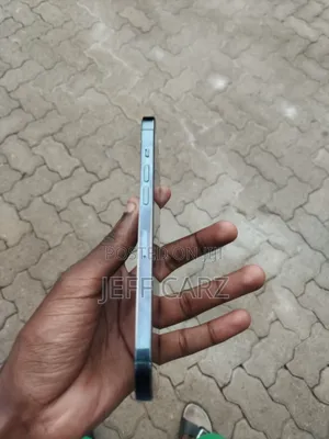 Apple iPhone 12 Pro Max 256 GB Gray