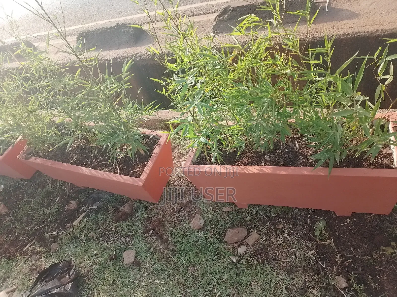 Brown Potted Trough