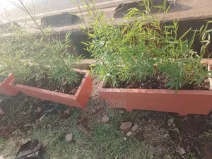Brown Potted Trough