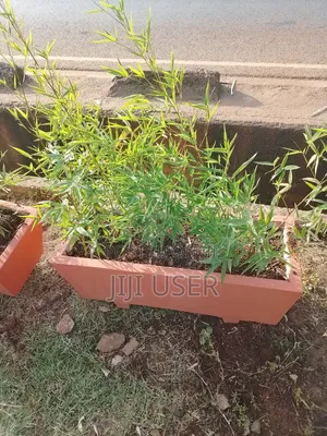 Brown Potted Trough