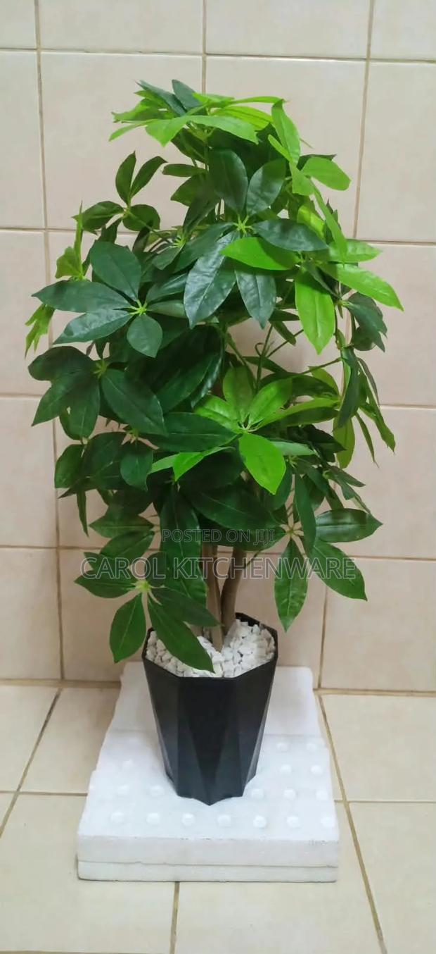 1.6 M Artificial Money Tree / Artificial Flower - thumbnail 2