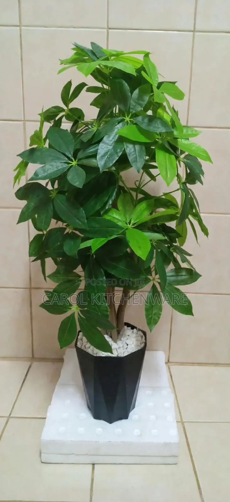 1.6 M Artificial Money Tree / Artificial Flower