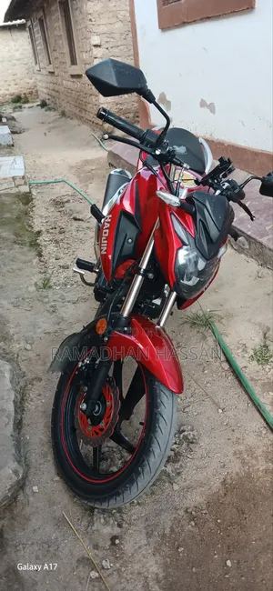 Haojin HJ200-15A 2024 Red