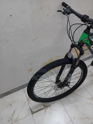 Mountain Bicycle