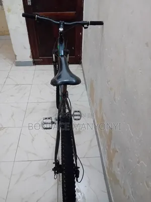 Mountain Bicycle