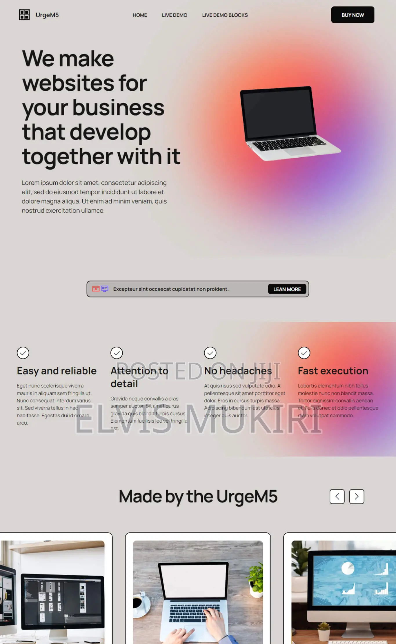 Website Design
