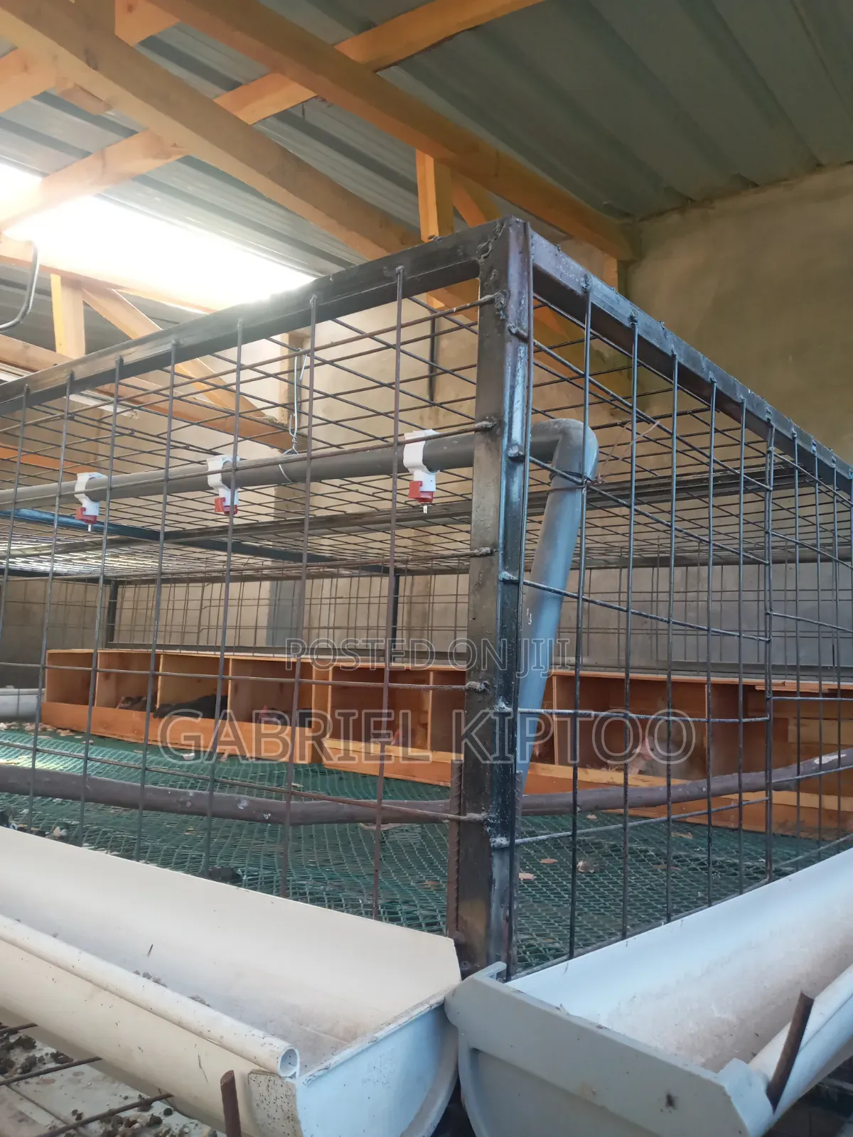 Local Poultry Cages