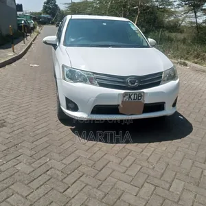 Toyota Corolla Fielder 2013 White