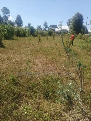 3 Plots for Sale Ngecha- Limuru