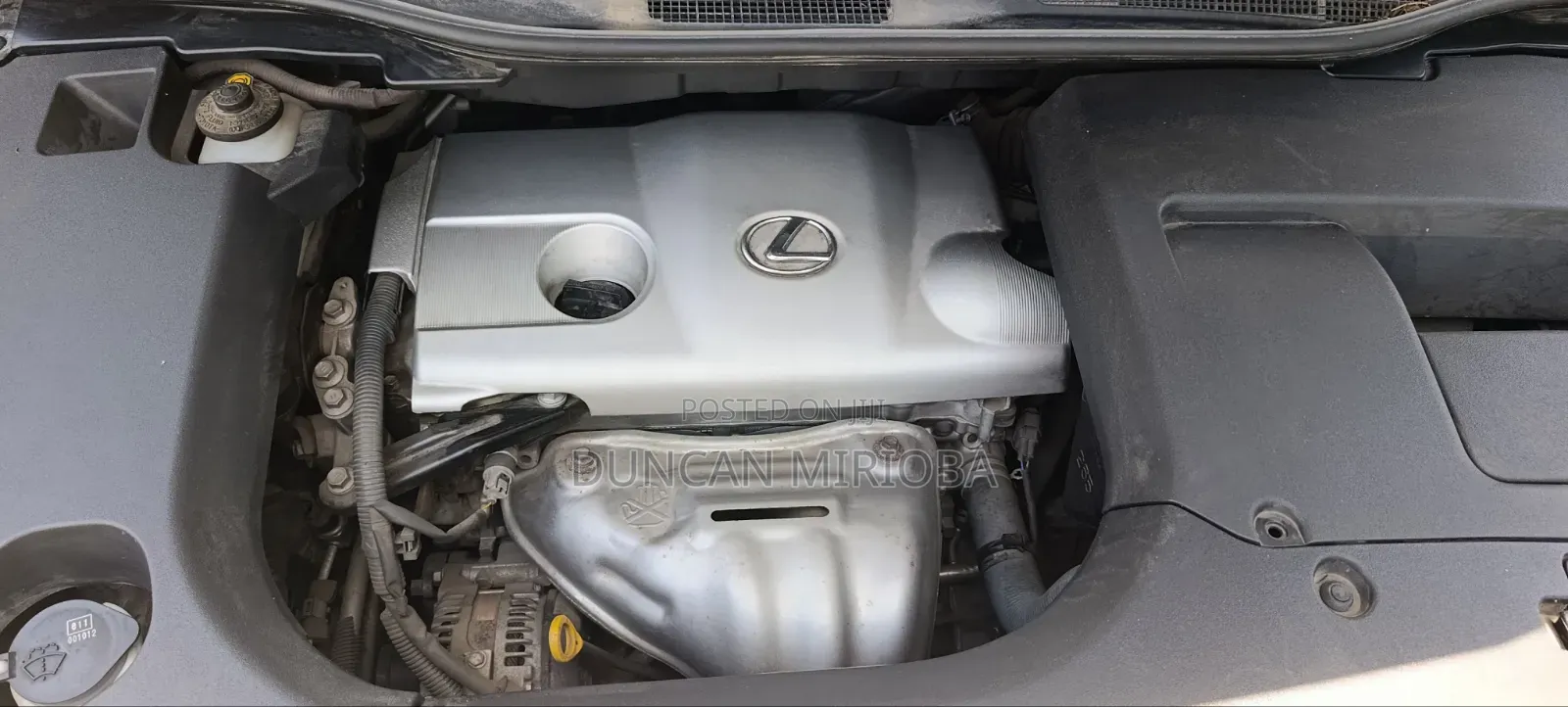 Lexus RX 2016 White