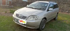 Toyota Corolla Fielder 2001 Silver