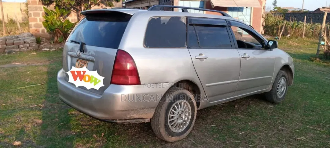 Toyota Corolla Fielder 2001 Silver
