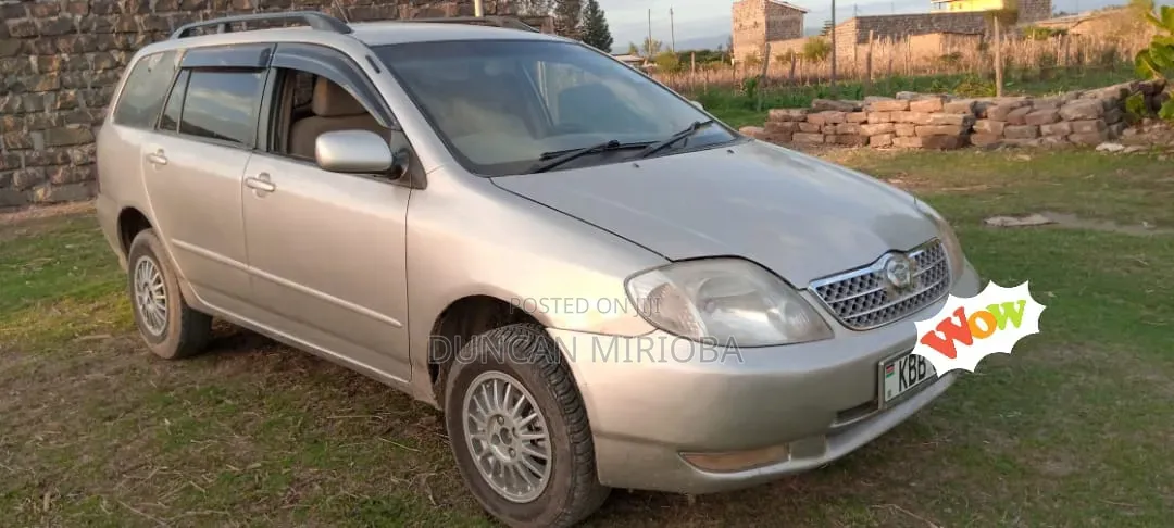 Toyota Corolla Fielder 2001 Silver