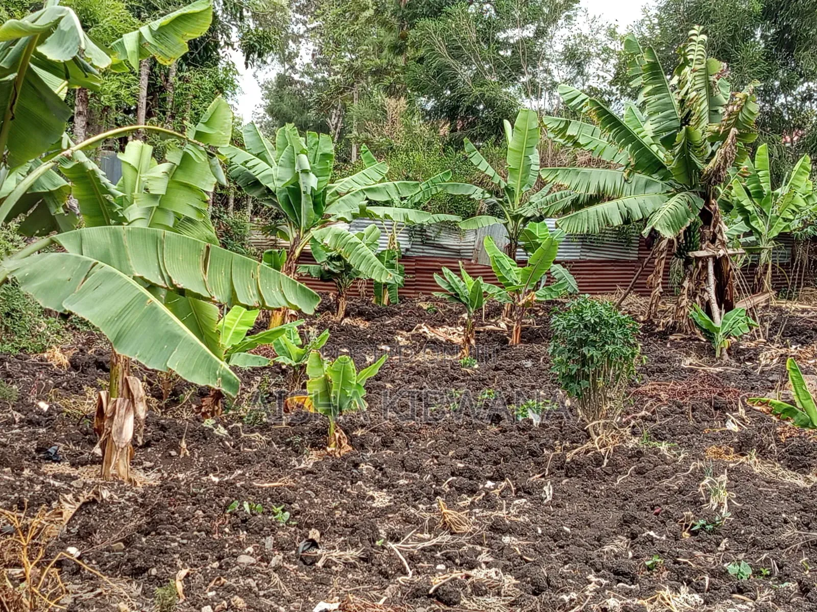 Plot for Sale