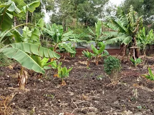 Plot for Sale
