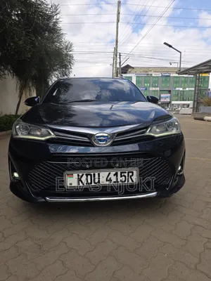 Toyota Corolla Fielder 2018 Black