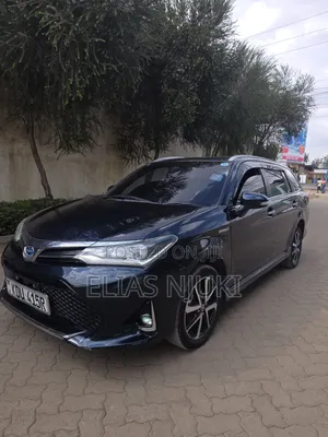 Toyota Corolla Fielder 2018 Black
