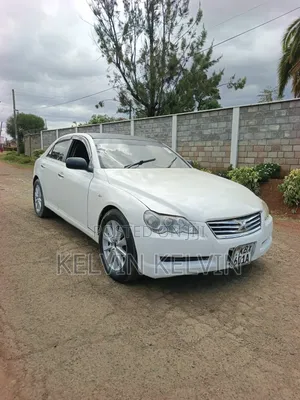 Toyota Mark X 2007 White