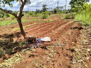 Land for Sale!! 1⁄4 Acre in Kirinyaga Near Kagio