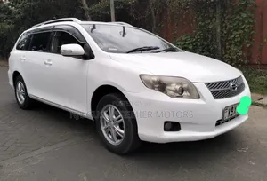 Toyota Corolla Fielder 2007 White