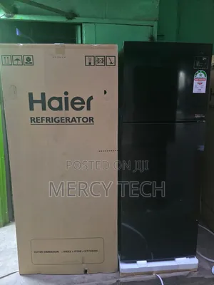 Haier 333L Double Door No-Frost Fridge (HRF-355BS)