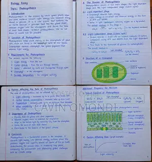 Bio/Chem & Integrated Science Tutor - Langata/Karen