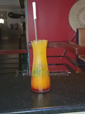 Professional Mobile Bartender and Cocktail Catering