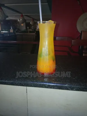Professional Mobile Bartender and Cocktail Catering