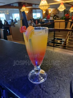Professional Mobile Bartender and Cocktail Catering